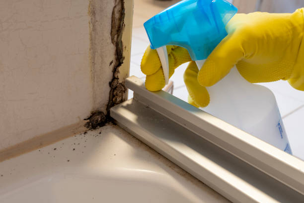 Best Residential Mold Removal  in St Georges, DE