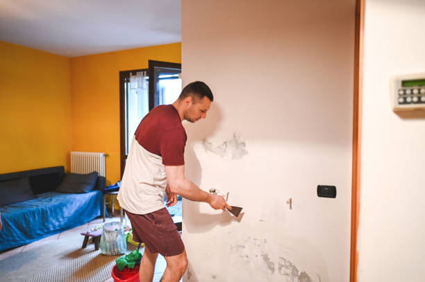 Best Office Mold Removal Services  in St Georges, DE